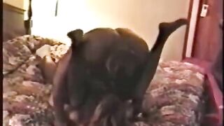 Cuckold Archive three BBC bulls screwing sissys wife