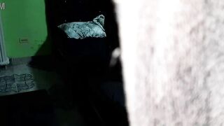 Older gets her vagina pumped by a shlong