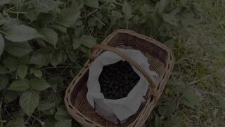 Wild blackberries made me lewd for a outdoor footjob