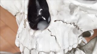 BONES OF SODOMY two