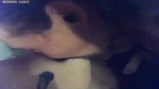 Whipped Cream