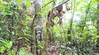 Thai Teenagers get Lost in the Forest and get Slutty, so they have Sex.