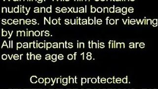 Haley's heavenly body