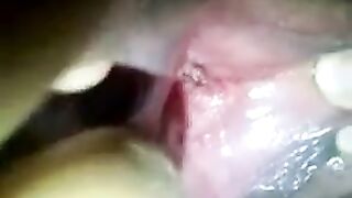 Haitian Lesbos