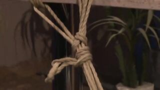 Lezdom fingers her lesbian subject during bdsm session