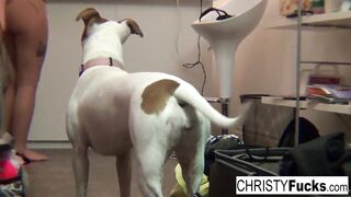 Three sexy pornstars play with each other's pussies