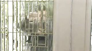 Georgia seduces Elexis