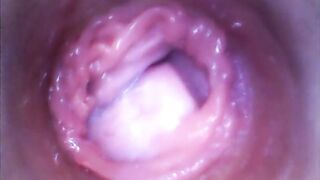 PJGIRLS Silvia DeLuxe sticks camera inside her vagina RAW pussy cam footage