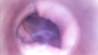 PJGIRLS Silvia DeLuxe sticks camera inside her vagina RAW pussy cam footage