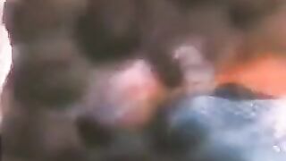 A Hairy Dream Classic Porn