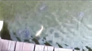 Molly (18-5) Hayden Winters