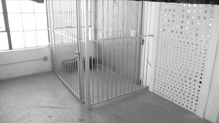 Kinky security guard gets her strap on licked by prisoner babe