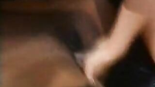 Gina Wild Interacial Lesbo