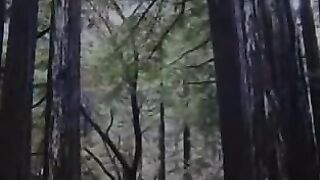 DANS LA FORET