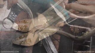 Thumbtack Dancer - Queensnake.com - Queensect.com