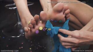 Thumbtack Dancer - Queensnake.com - Queensect.com