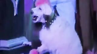 Elvira's Boob Action