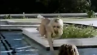 5 Lesbians by the pool