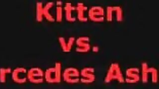 Kitten vs Mercedes