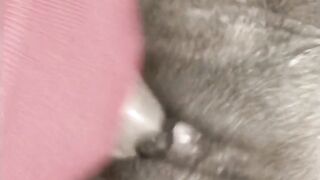 19 YR OLD EATS MILF PUSSY UNTIL SHE CUMS THEN FUCK HER WITH STRAP ON