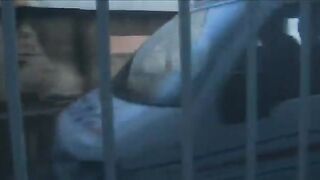 Laura in jail