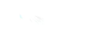 Punished For Throwing Eggs On Cars