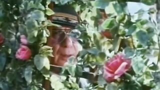 Linda Lovelace in the Golden Age of Porn