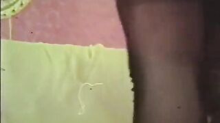 Softcore Nudes 539 60's and 70's - Scene 7