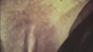 Softcore Nudes 539 60's and 70's - Scene 7