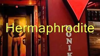 Hermaphrodite - Special Bonus Trailer By SZ (02-11-1987)