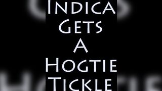 Indica Gets a Hogtie Tickle