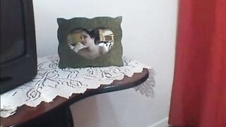 deep tongue kiss 2266