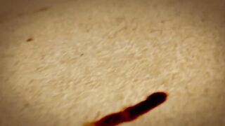 Kelli Provocateur Enjoys the Pussy Juices Of Ariel X