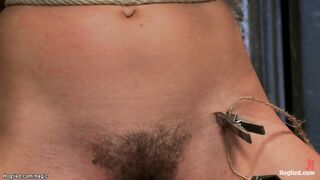 Hogtied slut anal fucked with dildo (Claire Adams, Kristina Rose)