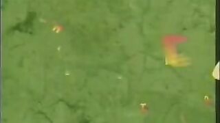 Domestic Sex in strange family