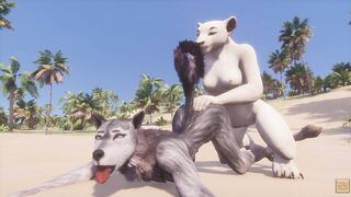 Wild Life / Lesbian Furry Girls Compilation