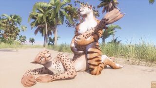Wild Life / Lesbian Furry Girls Compilation