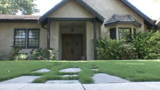 College hottie has sensual fuck with MILF in thekitchen