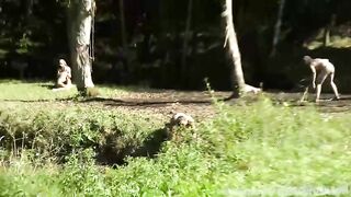 Wild ladies from the forest like to have group sex with guys and girls they catch