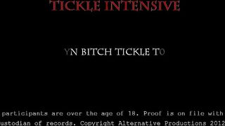 Brooklyn Bitch Tickle Tortured