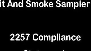 Sit And Smoke Sampler 2 From Smoking Females