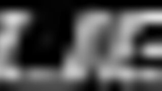 silver paint premium