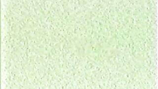 Strict Corporate Discipline