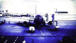 Frisky flight attendants get down and dirty with each other