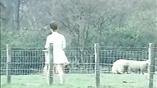 Nilli Willis - The Duke Of Knockers