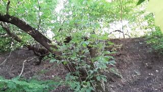 Best Cunnilingus in the Woods on a Log - Lesbian Illusion Girls