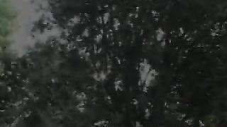 Brooke Banner & Sindee Coxx & Shy Love - Pussy Playhouse 7 - Scene 1