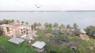 Amateur black ladies licking and scissoring