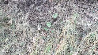 Accidentally filmed real lesbian sex in the forest - Lesbian Illusion Girls