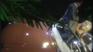 Cashmere michael ninn platinum collection